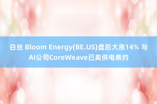 白丝 Bloom Energy(BE.US)盘后大涨14% 与AI公司CoreWeave已矣供电条约