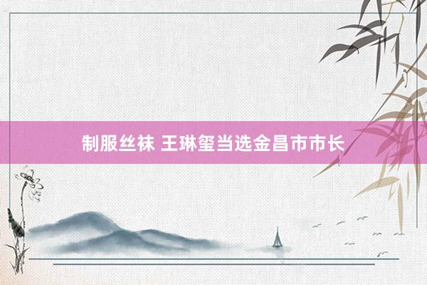 制服丝袜 王琳玺当选金昌市市长