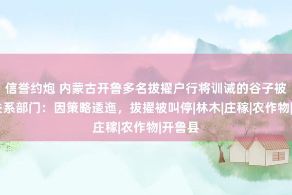 信誉约炮 内蒙古开鲁多名拔擢户行将训诫的谷子被拆除 关系部门：因策略逶迤，拔擢被叫停|林木|庄稼|农作物|开鲁县