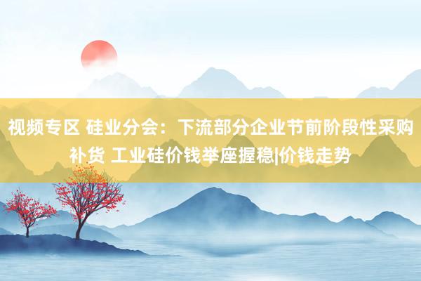视频专区 硅业分会：下流部分企业节前阶段性采购补货 工业硅价钱举座握稳|价钱走势