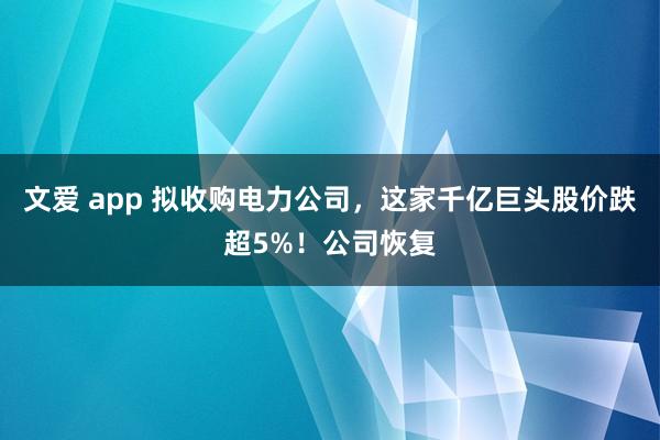文爱 app 拟收购电力公司，这家千亿巨头股价跌超5%！公司恢复