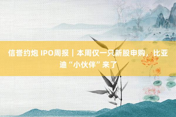 信誉约炮 IPO周报｜本周仅一只新股申购，比亚迪“小伙伴”来了