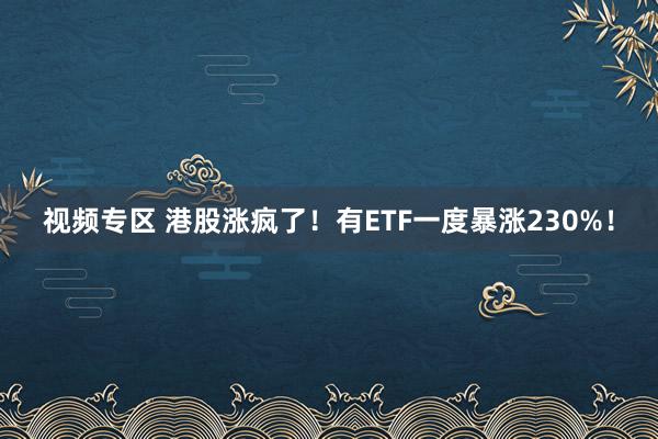 视频专区 港股涨疯了！有ETF一度暴涨230%！