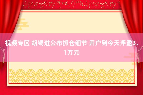 视频专区 胡锡进公布抓仓细节 开户到今天浮盈3.1万元