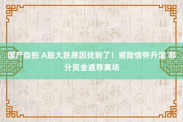 国产自拍 A股大跌原因找到了！避险情怀升温 部分资金遴荐离场