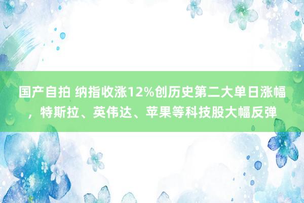 国产自拍 纳指收涨12%创历史第二大单日涨幅，特斯拉、英伟达、苹果等科技股大幅反弹
