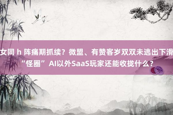 女同 h 阵痛期抓续？微盟、有赞客岁双双未逃出下滑“怪圈” AI以外SaaS玩家还能收拢什么？